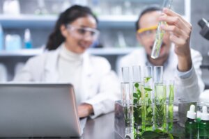 Glony w próbówkach w laboratorium