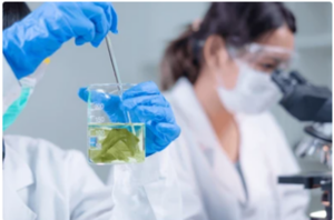 Obraz badania laboratorium
