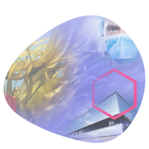 Zdjęcie graficzne od producenta marki Brothier Laboratoires